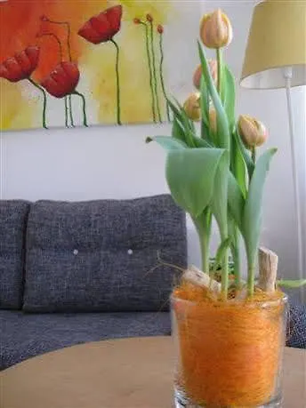 아파트 Haus Christine *